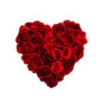 iStock_heart_of_rosesxSmall